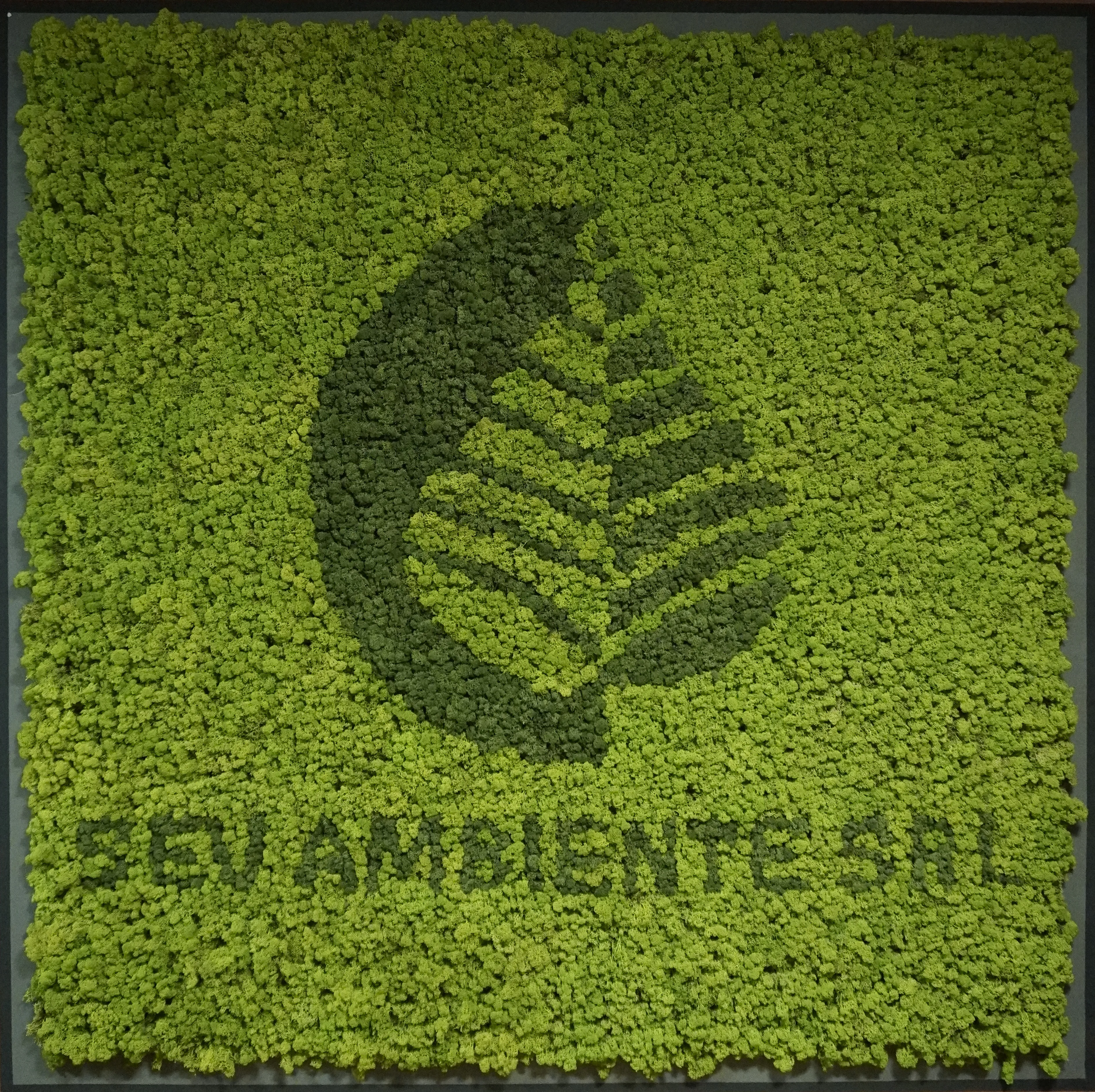 Logo Sev Ambiente