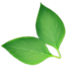 leaf